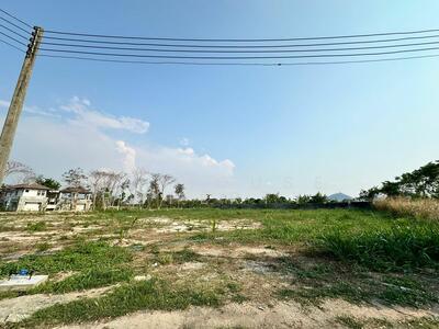 ขาย - ขายที่ดินเปล่า วิวธรรมชาติ ในโครงการปัญญารีสอร์ท บางพระ, ชลบุรี