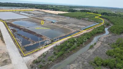 ขาย - ขายที่ดิน 66 ไร่ 390 ตารางวา ซอยเจริญสุข ต.หนองไม้แดง อ.เมือง จ.ชลบุรี, ชลบุรี