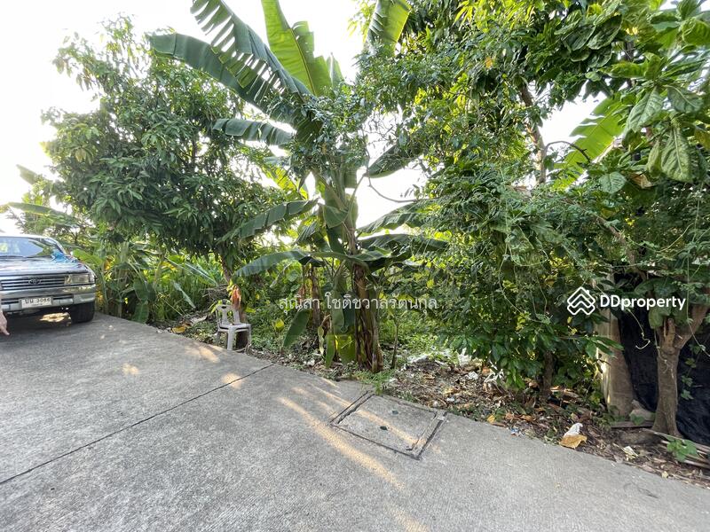 For Sale - Vacant land for sale 65 sq.w. Bueng Yitho, Thanyaburi, Pathum Thani, Pathum Thani