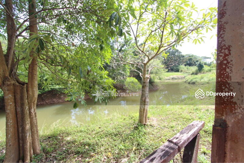 ขาย - rabbit hill resort, จันทบุรี