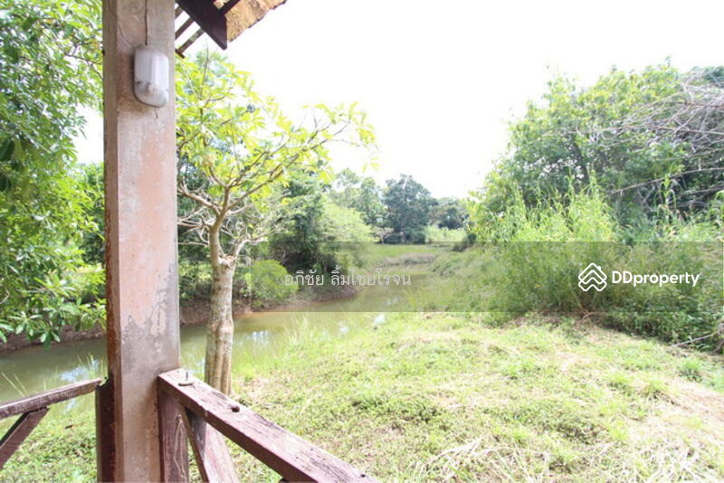 ขาย - rabbit hill resort, จันทบุรี