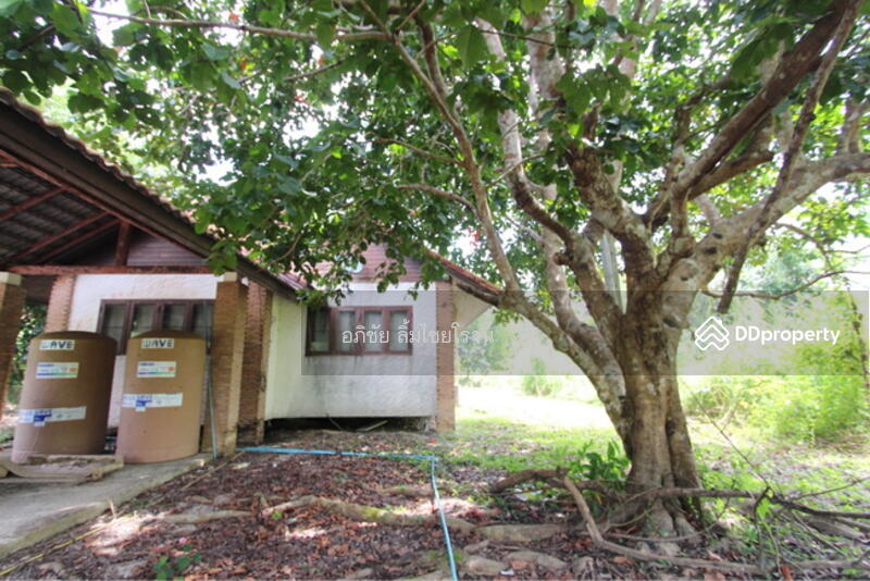 For Sale - rabbit hill resort, Chanthaburi