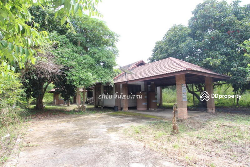 ขาย - rabbit hill resort, จันทบุรี