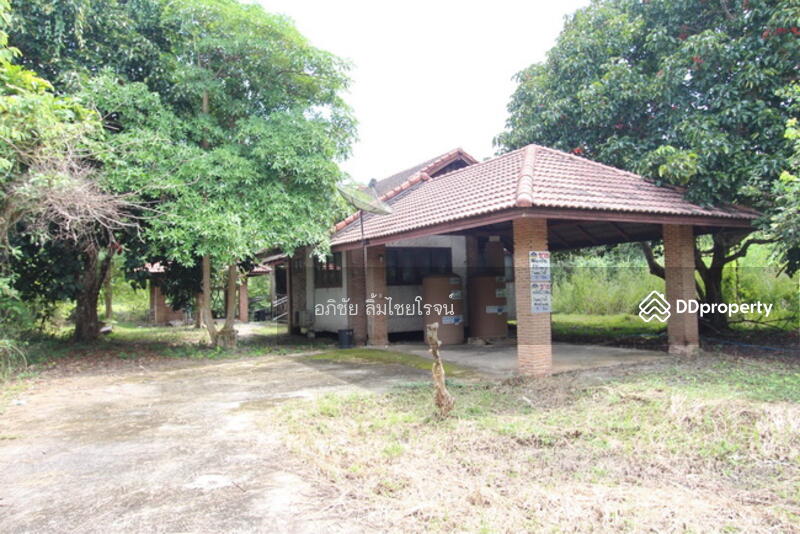 ขาย - rabbit hill resort, จันทบุรี