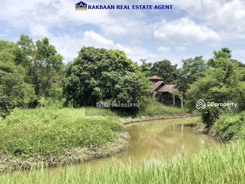 ขาย - rabbit hill resort, จันทบุรี