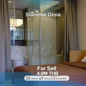 ขาย - Siamese Gioia : ไซมิส จอยญ่า, กรุงเทพ
