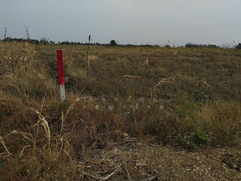 ขาย - ขายที่ดินวังม่วง 2-2-0 ไร่ ที่ดินวิวเขาเดินทางจากกรุงเทพใช้เวลาเพียง 1 ชม แปลงใกล้เคียงทำโคกหนองนา, สระบุรี