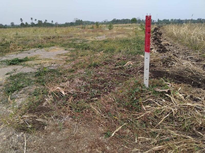 ขาย - ขายที่ดินวังม่วง 2-2-0 ไร่ ที่ดินวิวเขาเดินทางจากกรุงเทพใช้เวลาเพียง 1 ชม แปลงใกล้เคียงทำโคกหนองนา, สระบุรี