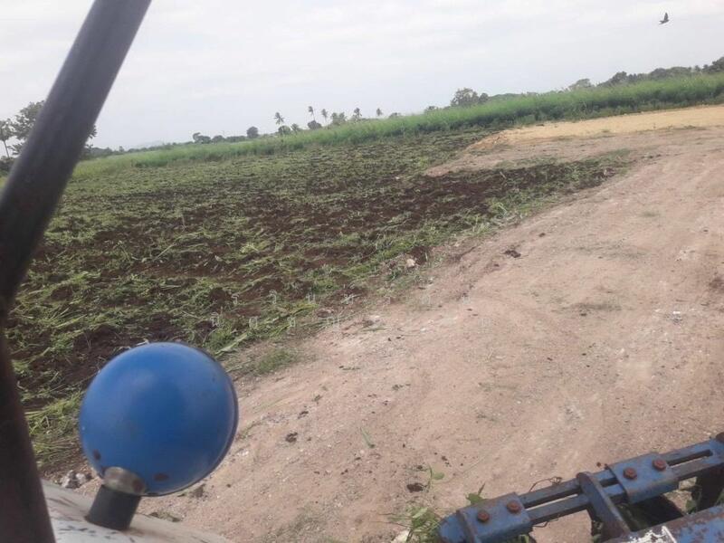 ขาย - ขายที่ดินวังม่วง 2-2-0 ไร่ ที่ดินวิวเขาเดินทางจากกรุงเทพใช้เวลาเพียง 1 ชม แปลงใกล้เคียงทำโคกหนองนา, สระบุรี