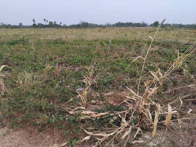 ขาย - ขายที่ดินวังม่วง 2-2-0 ไร่ ที่ดินวิวเขาเดินทางจากกรุงเทพใช้เวลาเพียง 1 ชม แปลงใกล้เคียงทำโคกหนองนา, สระบุรี