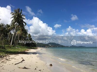 ขาย - ที่ดิน บนเกาะสมุย 4 ไร่ 1 งาน 41 ตรว., สุราษฎร์ธานี