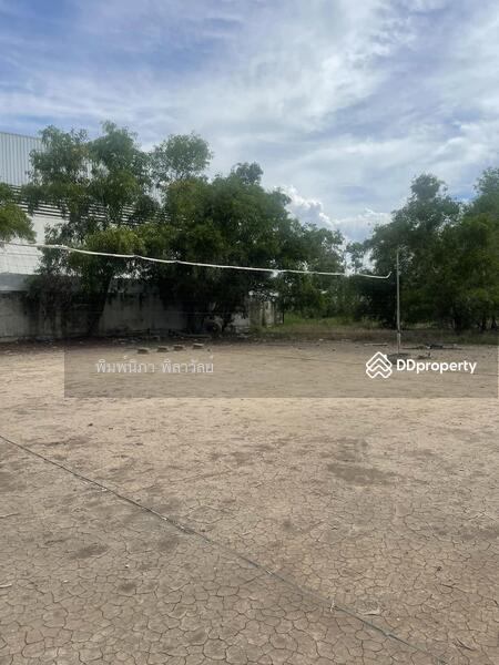 ขาย - ที่ดิน 1 ไร่ ต.คลองสอง อ.คลองหลวง จ.ปทุมธานี, ปทุมธานี