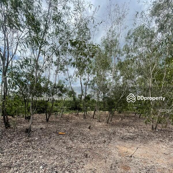 ขาย - ที่ดิน 1 ไร่ ต.คลองสอง อ.คลองหลวง จ.ปทุมธานี, ปทุมธานี