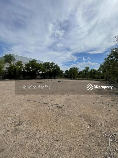 ขาย - ที่ดิน 1 ไร่ ต.คลองสอง อ.คลองหลวง จ.ปทุมธานี, ปทุมธานี