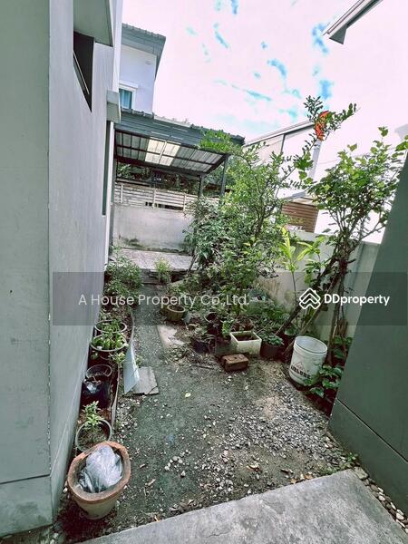 For Sale - Trio Town Village, Sriracha, Chon Buri