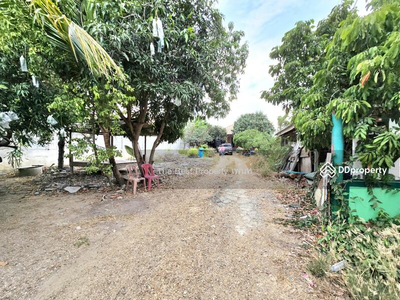 ขาย - บ้านเดี่ยวห้วยจรเข้ นครปฐม, นครปฐม