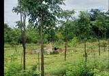 ขายที่ดินเปล่า ขนาด1 ไร่ 250.3 ตร.ว. อำเภออู่ทอง จังหวัดสุพรรณบุรี - DDproperty.com
