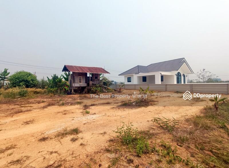 ขาย - ที่ดินท่าสาย เชียงราย, เชียงราย