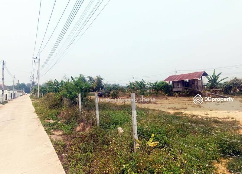 ขาย - ที่ดินท่าสาย เชียงราย, เชียงราย