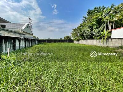 ขาย - ขายที่ดิน ลาดกระบัง อยู่ในหมู่บ้าน ศุภาลัยเลค 2 ถนนคุ้มเกล้า 5 ลาดกระบัง เหมาะสร้างบ้าน ราคาถูกมาก, กรุงเทพ