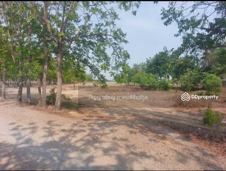 ให้เช่า - ขายที่ดินเปล่า 273 ตร.ว. ตำบลสนามคลี อำเภอเมือง จังหวัดสุพรรณบุรี, สุพรรณบุรี