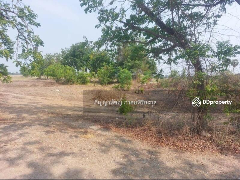 ให้เช่า - ขายที่ดินเปล่า 273 ตร.ว. ตำบลสนามคลี อำเภอเมือง จังหวัดสุพรรณบุรี, สุพรรณบุรี