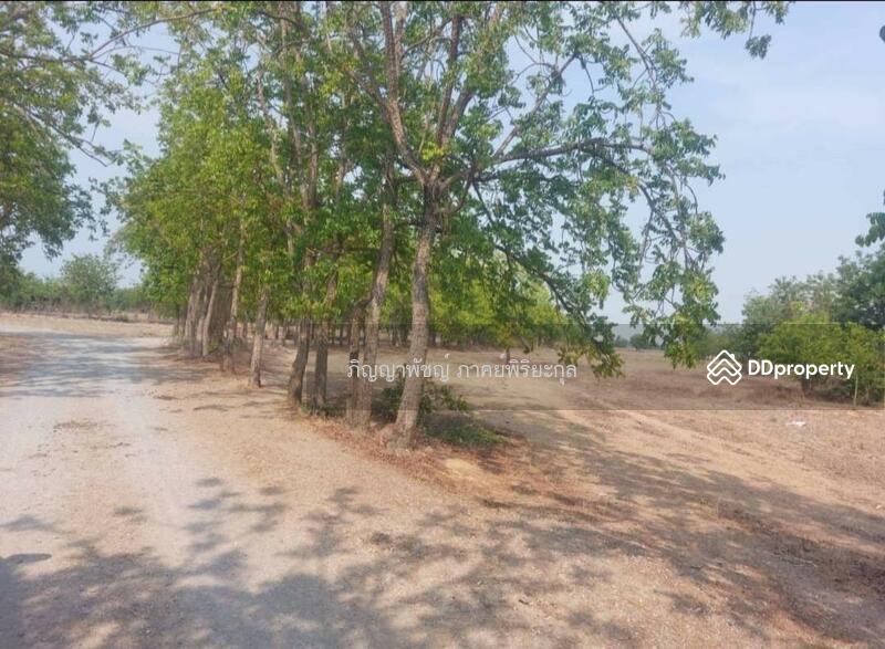 ให้เช่า - ขายที่ดินเปล่า 273 ตร.ว. ตำบลสนามคลี อำเภอเมือง จังหวัดสุพรรณบุรี, สุพรรณบุรี