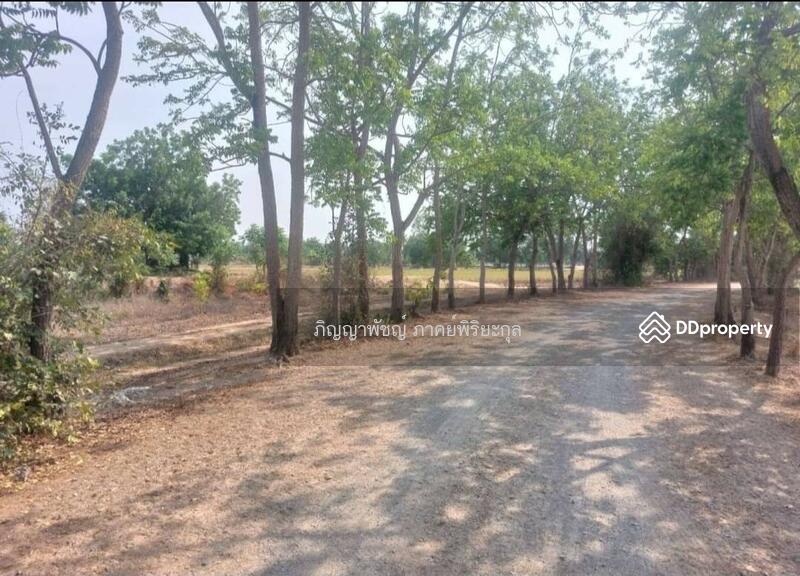 ให้เช่า - ขายที่ดินเปล่า 273 ตร.ว. ตำบลสนามคลี อำเภอเมือง จังหวัดสุพรรณบุรี, สุพรรณบุรี