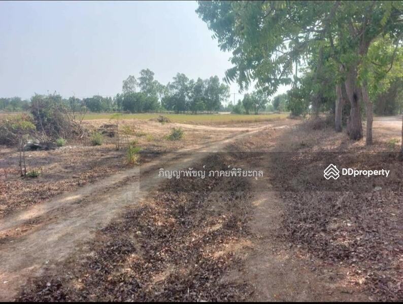 ให้เช่า - ขายที่ดินเปล่า 273 ตร.ว. ตำบลสนามคลี อำเภอเมือง จังหวัดสุพรรณบุรี, สุพรรณบุรี