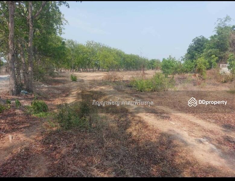 ให้เช่า - ขายที่ดินเปล่า 273 ตร.ว. ตำบลสนามคลี อำเภอเมือง จังหวัดสุพรรณบุรี, สุพรรณบุรี