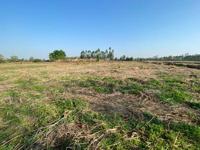 ขาย - ที่ดินบ้านฝาง ขอนแก่น, ขอนแก่น