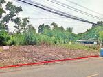 ที่ดินในชุมชน50ตรว. 9.5แสน฿ ซอยบงกช1ใกล้ถนนคลองหลวง500ม. เยื้องวัดธรรมกายคลอง2คลองหลวง o86-3ol-6l6l, ปทุมธานี