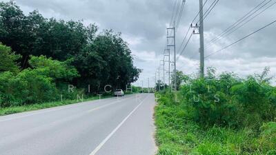 ขาย - ขายที่ดินมาบยางพร 28 ไร่ ติดถนนเส้น2026(ซอยวัดมาบเตย) ใกล้นิคมอีสเทอร์ซีบอร์ด-10กม. อ.ปลวกแดง ระยอง, ระยอง