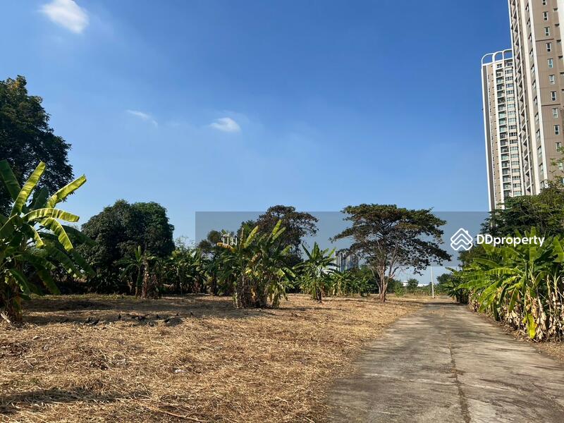 For Sale - พระราม9, Bangkok