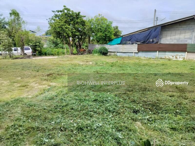 ขาย - ขายที่ดินโป่ง 93 ตรว. ซอยห้วยยายมุก ติดถนนคอนกรีต ใกล้มาบประชัน-1.2กม. บางละมุง, ชลบุรี