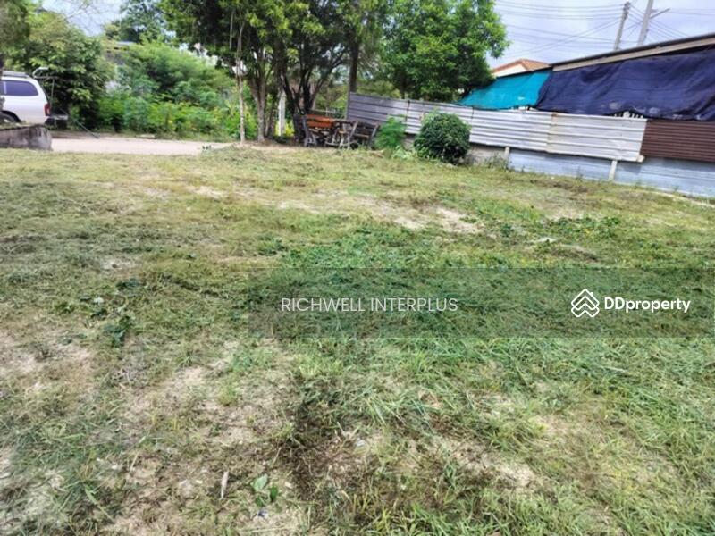 ขาย - ขายที่ดินโป่ง 93 ตรว. ซอยห้วยยายมุก ติดถนนคอนกรีต ใกล้มาบประชัน-1.2กม. บางละมุง, ชลบุรี