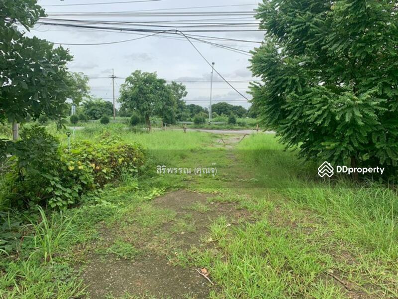ขาย - ต.บานไผ่ อ.บ้านไผ่ จ.ขอนแก่น, ขอนแก่น