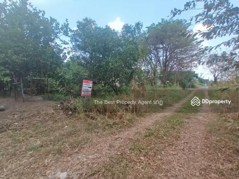 ขาย - ที่ดินบ้านใหม่ ปทุมธานี, ปทุมธานี