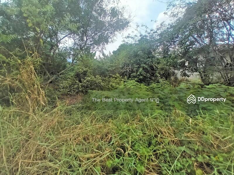 ขาย - ที่ดินบ้านใหม่ ปทุมธานี, ปทุมธานี