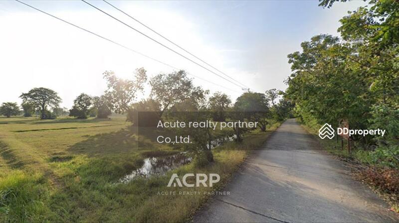 For Sale - Corner large vacant land for sale, 30 rai 2 ngan 35 sq.wah, located in Salakdai, Mueang, Surin., Surin