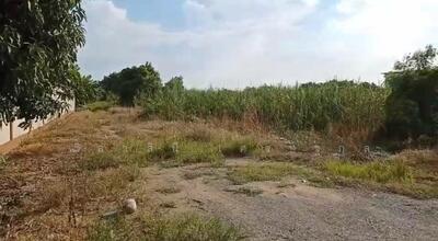 ขาย - ที่ดิน 9 ไร่ ซ.วัดลาดปลาดุก ไทรน้อย บางบัวทอง นนทบุรี เซ็นทรัลเวสต์เกต, นนทบุรี