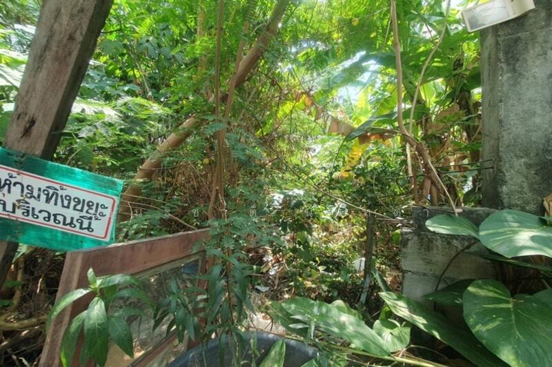 ขาย - ที่ดิน ซอยอ่อนนุช 70 แยก 3 เนื้อที่ 73 ตรว. ถนนอ่อนนุช เขตประเวศ กรุงเทพมหานคร, กรุงเทพ