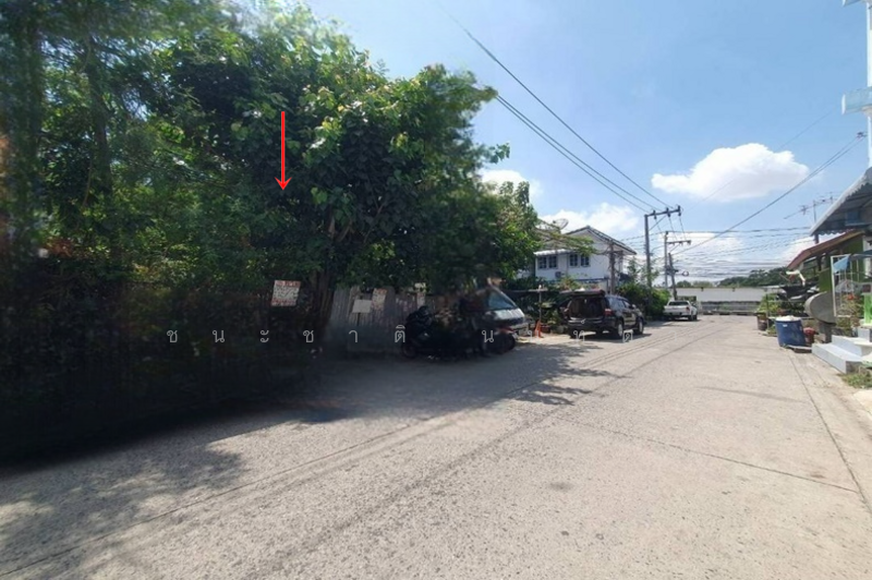 ขาย - ที่ดิน ซอยอ่อนนุช 70 แยก 3 เนื้อที่ 73 ตรว. ถนนอ่อนนุช เขตประเวศ กรุงเทพมหานคร, กรุงเทพ