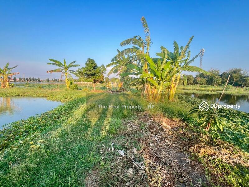 ขาย - ที่ดินแพรกษา สมุทรปราการ, สมุทรปราการ