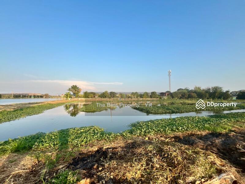 ขาย - ที่ดินแพรกษา สมุทรปราการ, สมุทรปราการ