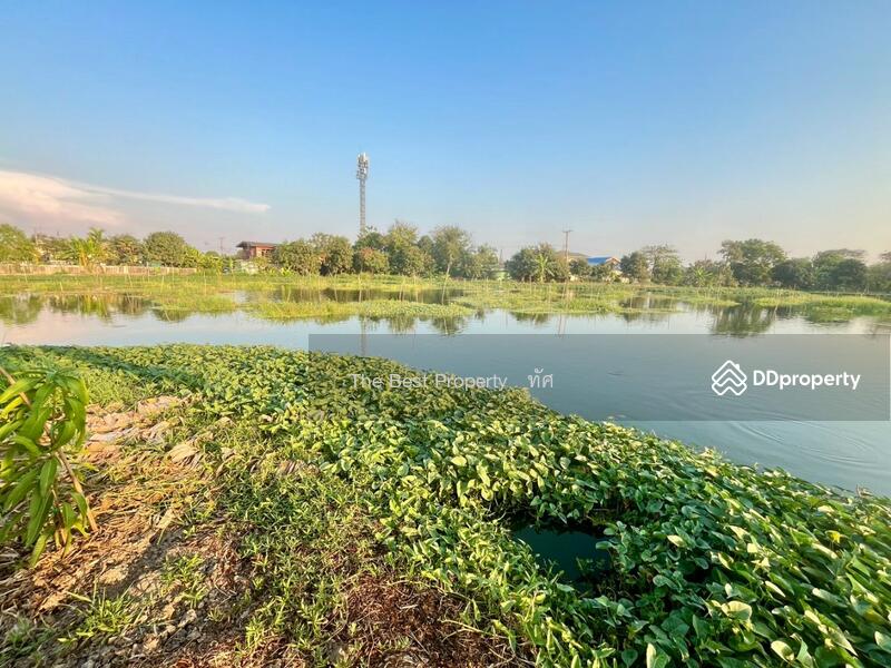 ขาย - ที่ดินแพรกษา สมุทรปราการ, สมุทรปราการ