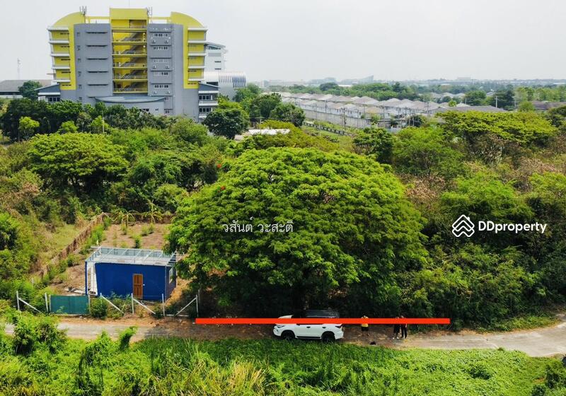 For Sale - ที่ดิน ศาลายา พุทธมณฑล นครปฐม 128 ตร.ว. อยู่หลังมหาวิทยาลัยเทคโนโลยีราชมงคลรัตนโกสินทร์, Nakhon Pathom