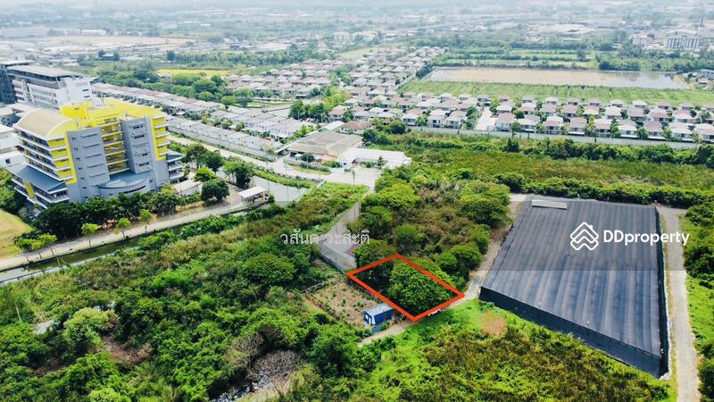 For Sale - ที่ดิน ศาลายา พุทธมณฑล นครปฐม 128 ตร.ว. อยู่หลังมหาวิทยาลัยเทคโนโลยีราชมงคลรัตนโกสินทร์, Nakhon Pathom