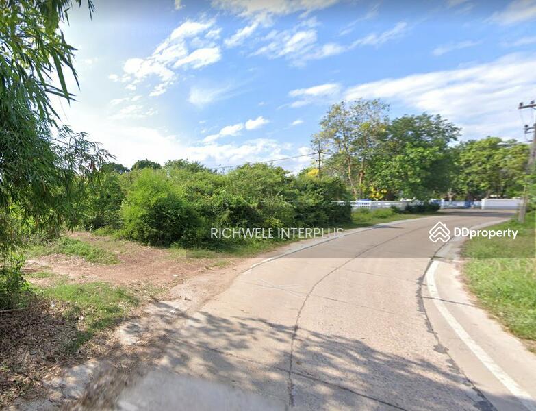 ขาย - ขายที่ดินวังเย็น 11.5 ไร่ ติดถนนคอนกรีต ใกล้ถนนเส้น 3121 - 200 เมตร อ.แปลงยาว, ฉะเชิงเทรา
