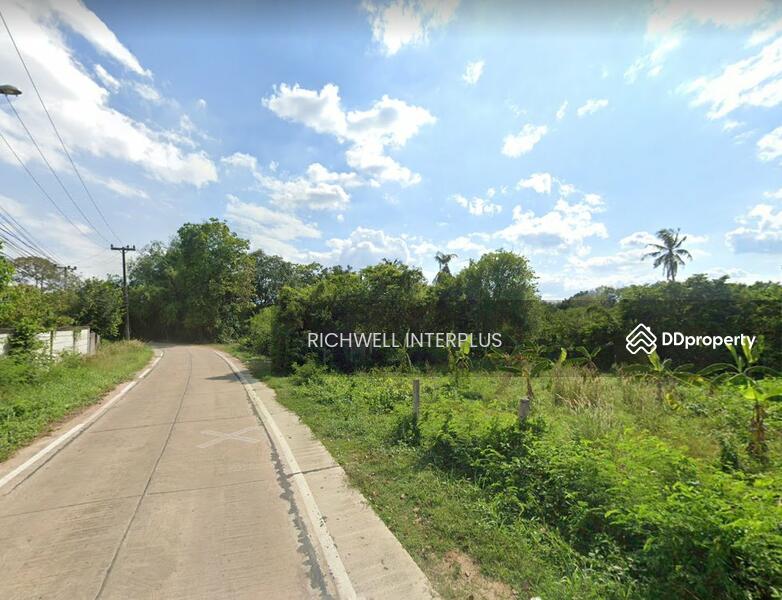 ขาย - ขายที่ดินวังเย็น 11.5 ไร่ ติดถนนคอนกรีต ใกล้ถนนเส้น 3121 - 200 เมตร อ.แปลงยาว, ฉะเชิงเทรา